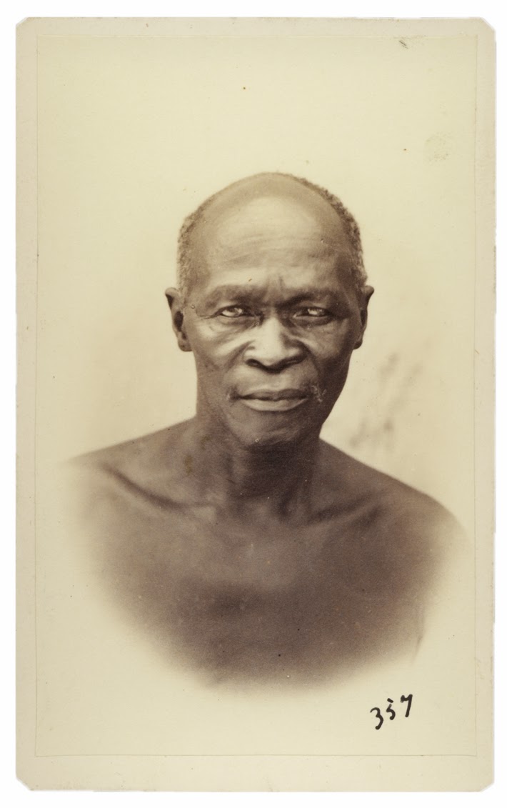Chief Maqoma portrait