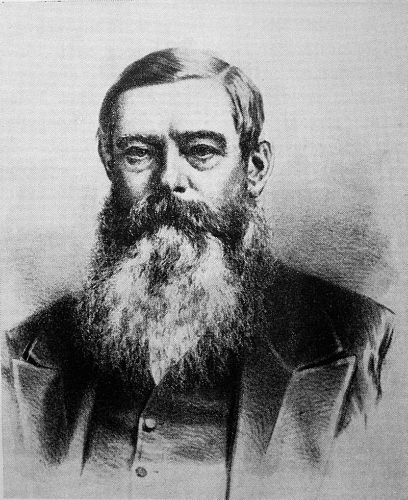 Johannes Henricus Brand portrait