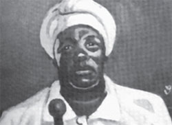 Nontetha Nkwenkwe portrait