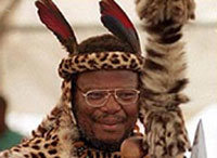 Buthelezi Chief Councillor of the Zululand Territorial Authority