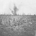 Delville Wood Battlefield