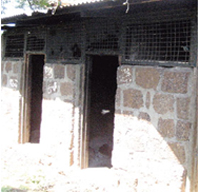 Mau Mau political prisoners escape from Mageta Island, Lake Victoria