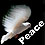 Peace Dove