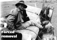 Forced removals.