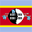 Swaziland Flag