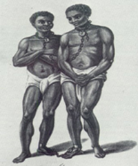 The first slave arrives at the Cape