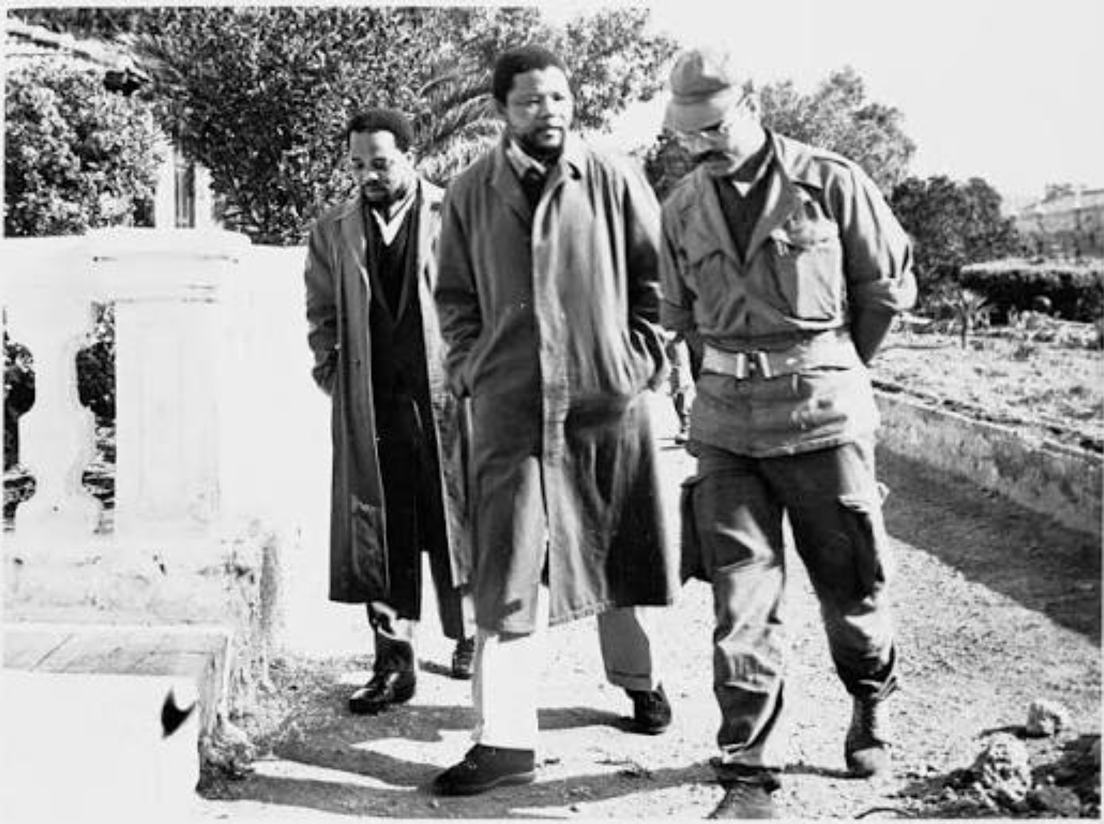 Nelson Mandela in Alger, la Mecque des révolutionnaires 1962-1974 , source african.pictures