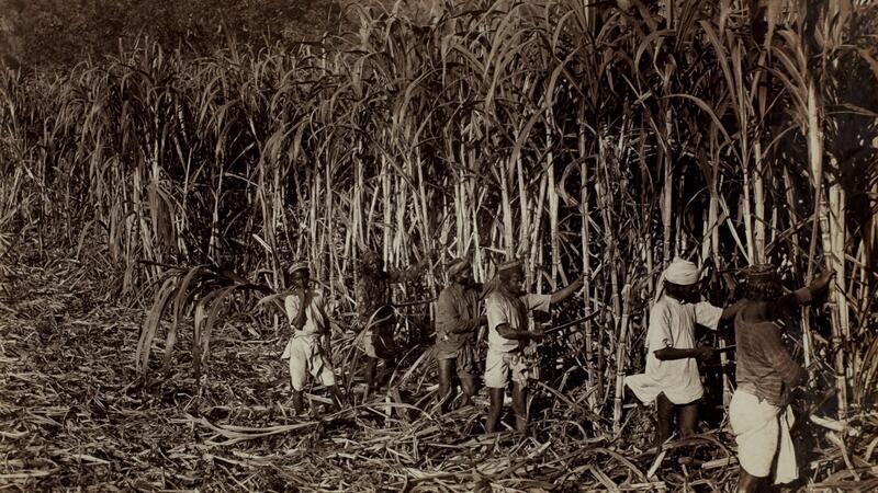 List of employers to whom Indentured Indians were assigned