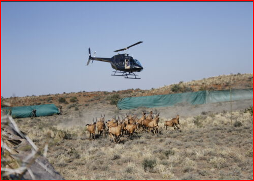 https://www.sanparks.org/wp-content/uploads/2023/05/MG_2661-1-500x350.jpg