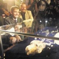 Infant hominid discovered