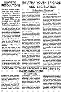 Inkatha Youth Brigade and legislation