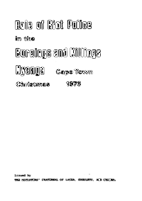 Role of riot police in the burnings and killings, Nyanga, Cape Town, Christmas 1976