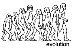 Early hominid discoveries in South Africa and East Africa