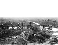 The Western Front