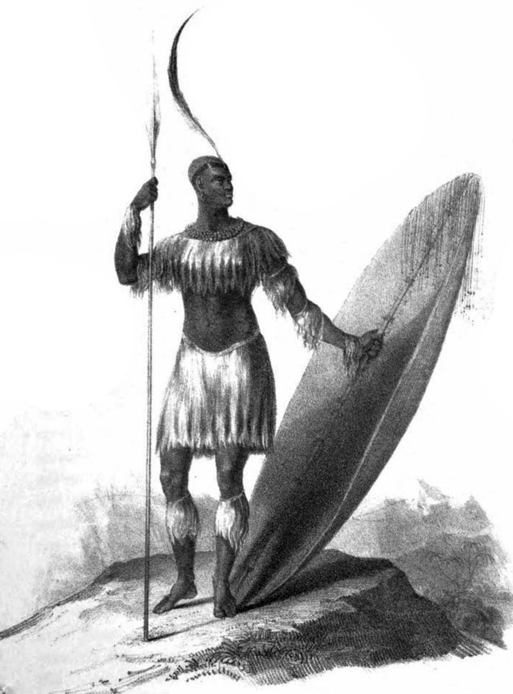 Shaka Zulu South African History Online 