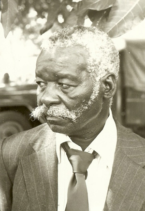 Moses Mabhida portrait