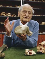 Professor Emeritus Phillip Tobias portrait