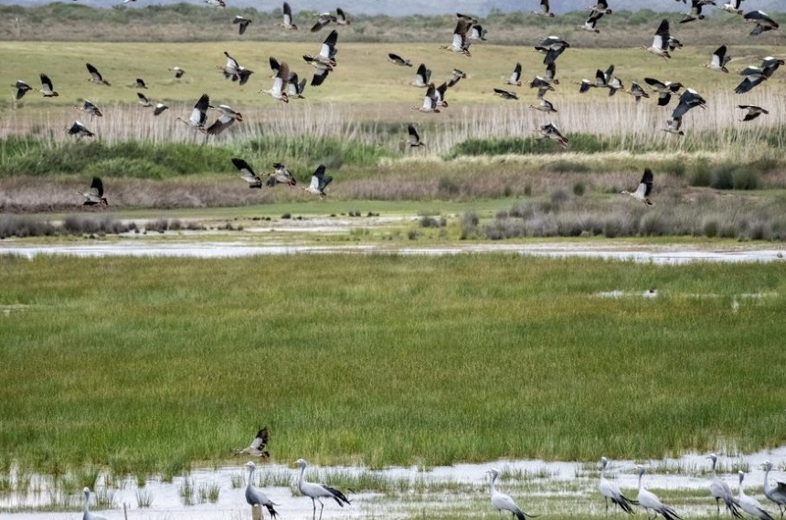 https://www.sabcnews.com/sabcnews/wp-content/uploads/2026/02/Wetland-867x577.jpg