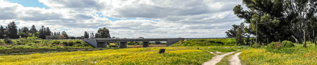 https://simplybee.co.za/cdn/shop/articles/Fynbos2019-0140.jpg?v=1769604422&width=1500
