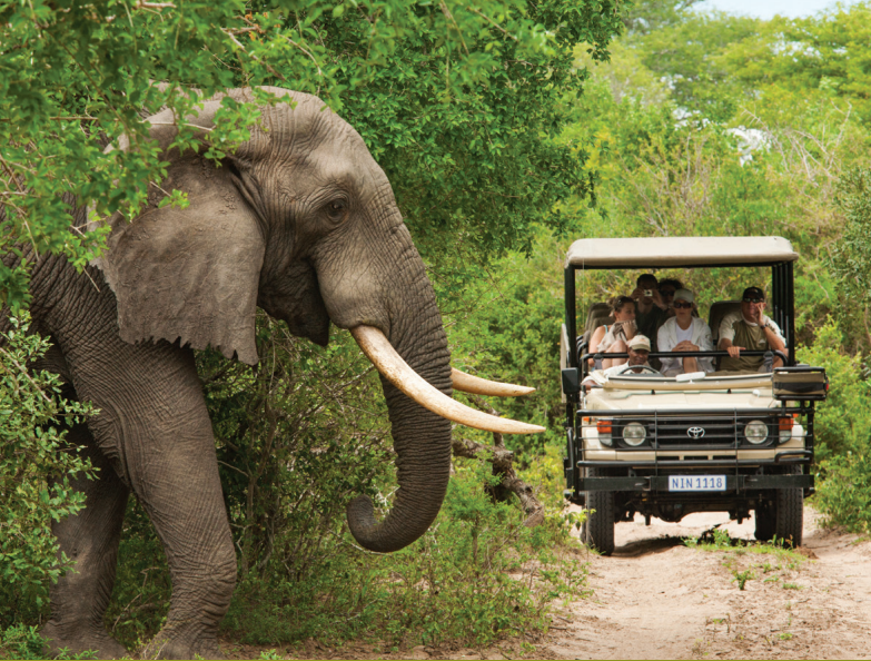 https://visiteasterncape.co.za/wp-content/uploads/2020/09/Wildlife-wonder.pdf