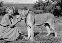 Author of the book, Born Free, Joy Adamson, is killed