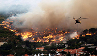 A fire breaks out on Table Mountain after a British tourist allegedly tossed a lit cigarette out of a car window