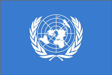 UN Special Committee releases its report