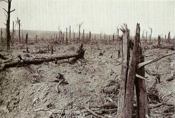 Battle of Delville Wood starts