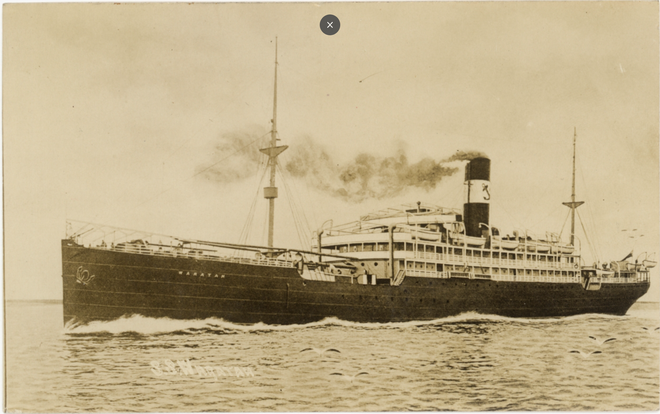 Passenger liner SS Waratah