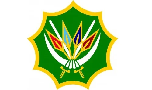 SA cross-border raid in Maputo kills several