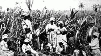 Lesson The Industrial Revolution In Britain And Southern Africa Lesson The Industrial Revolution In Britain And Southern Africa From South African History Online English Essay Introduction Example also High School Essay Examples Essays In English