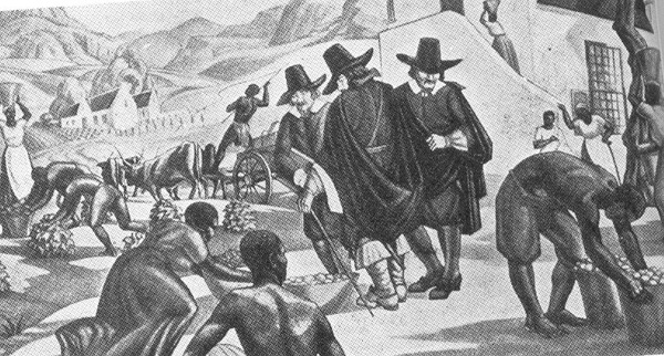 slavery at the cape essay