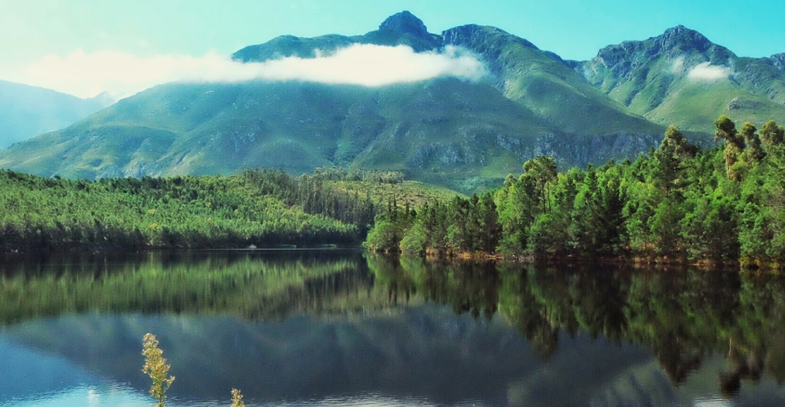 Western Cape Nature Reserves in South Africa