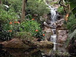 Botanical Gardens, Pretoria