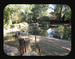 Pretoria National Zoological Gardens.