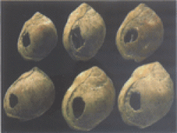 Early jewellery