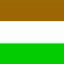 Transkei flaf