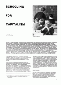 capitalism in south africa essay