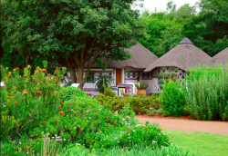 https://www.sa-venues.com/attractions/gallery/gauteng/488/3.jpg