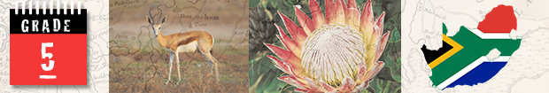 grade 5 term 2 the first farmers in southern africa south african history online