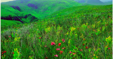 https://whc.unesco.org/uploads/thumbs/site_1007_0017-360-360-20151105153802.jpg