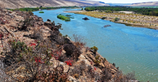 http://www.travelnewsnamibia.com/wp-content/uploads/Orange-river-850x480.jpg