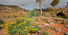 https://www.sa-venues.com/attractions/gallery/northerncape/585/2.jpg