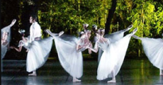 https://www.sa-venues.com/things-to-do/westerncape/images/maynardville.jpg