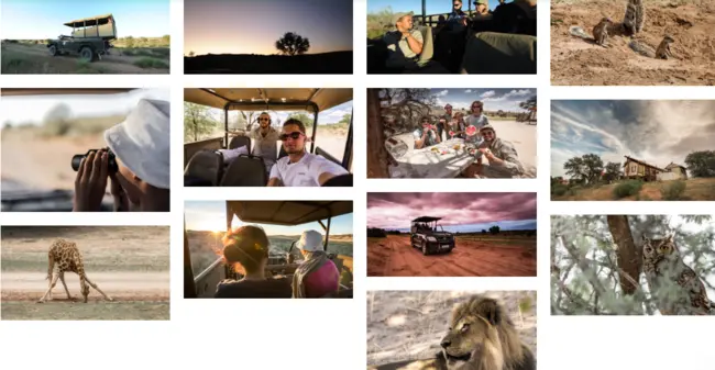Kgalagadi Transfrontier Park