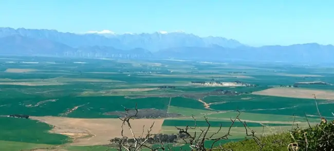 Koringberg