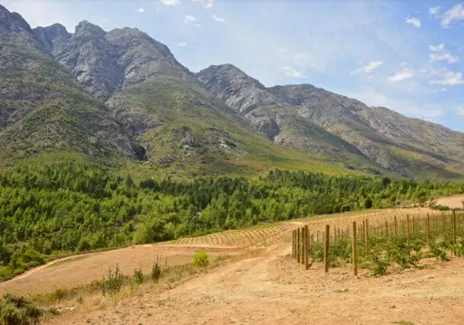 Tulbagh, Western Cape