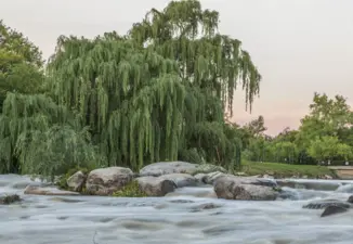 Rehabillitation Services Near Bez Valley