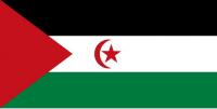 https://flagpedia.net/western-sahara