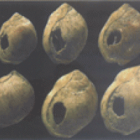 Early jewellery